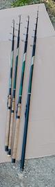 Canne da pesca bolognese Daiwa amourphous vintage 
