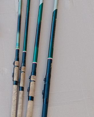 Canne da pesca bolognese Daiwa amourphous vintage 