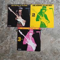 raccolta LP Jimi Hendrix 