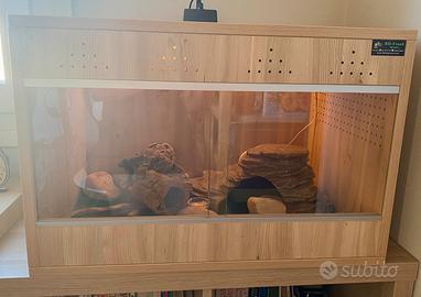 Teca/terrario per rettili
