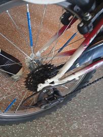 bici con cambio 