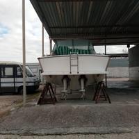 Fiart venus 25