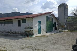 CAPANNONE A BORGHI