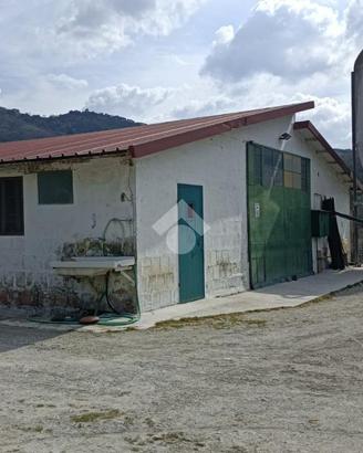 CAPANNONE A BORGHI