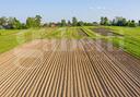 terreno-agricolo-camponogara-cod-rif-3342326vrg-