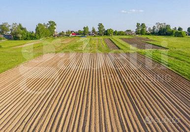 Terreno Agricolo Camponogara [Cod. rif 3342326VRG]