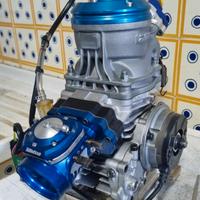 Motore monomarcia 125cc iame ok senior