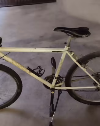 mountain bike