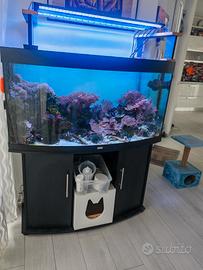 Acquario marino completo 
