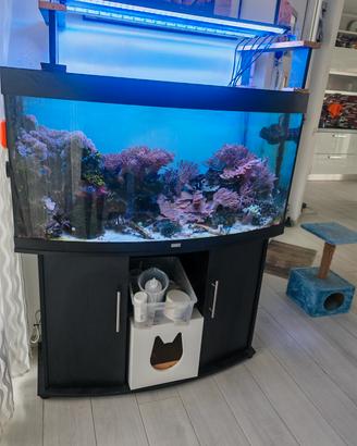 Acquario marino completo 