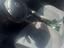 Immagine 4