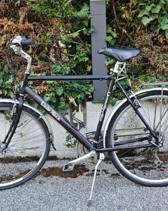 Bicicletta uomo