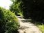 Immagine 6