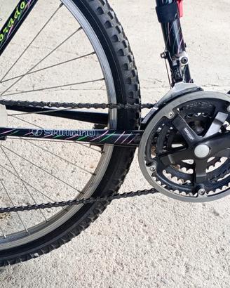 Mountain bike cambio Shimano 21 rapporti 