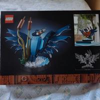 Kit Modellismo per Adulti Amanti degli Uccelli e d