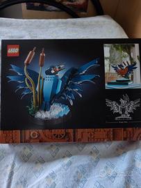 Kit Modellismo per Adulti Amanti degli Uccelli e d