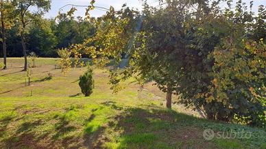 Rustico / Casale di 300 m² con più di 5 locali e p