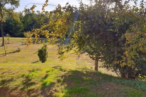 Rustico / Casale di 300 m² con più di 5 locali e p