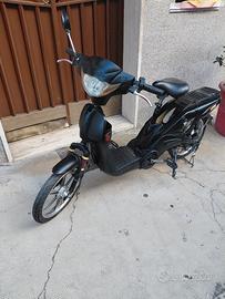 bici elettrica 
