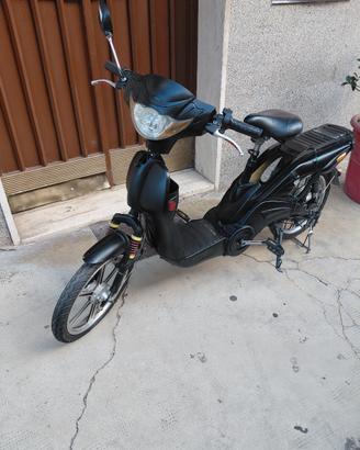 bici elettrica 