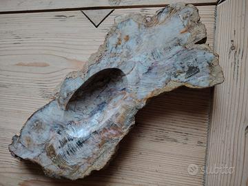 Pietra fossile origine brasile