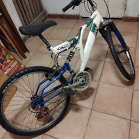 bicicletta mtb