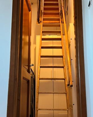 Scala retrattile