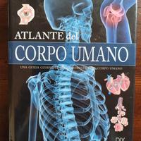 Atlante del corpo umano