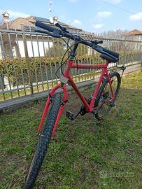 bicicletta mtb da sistemare