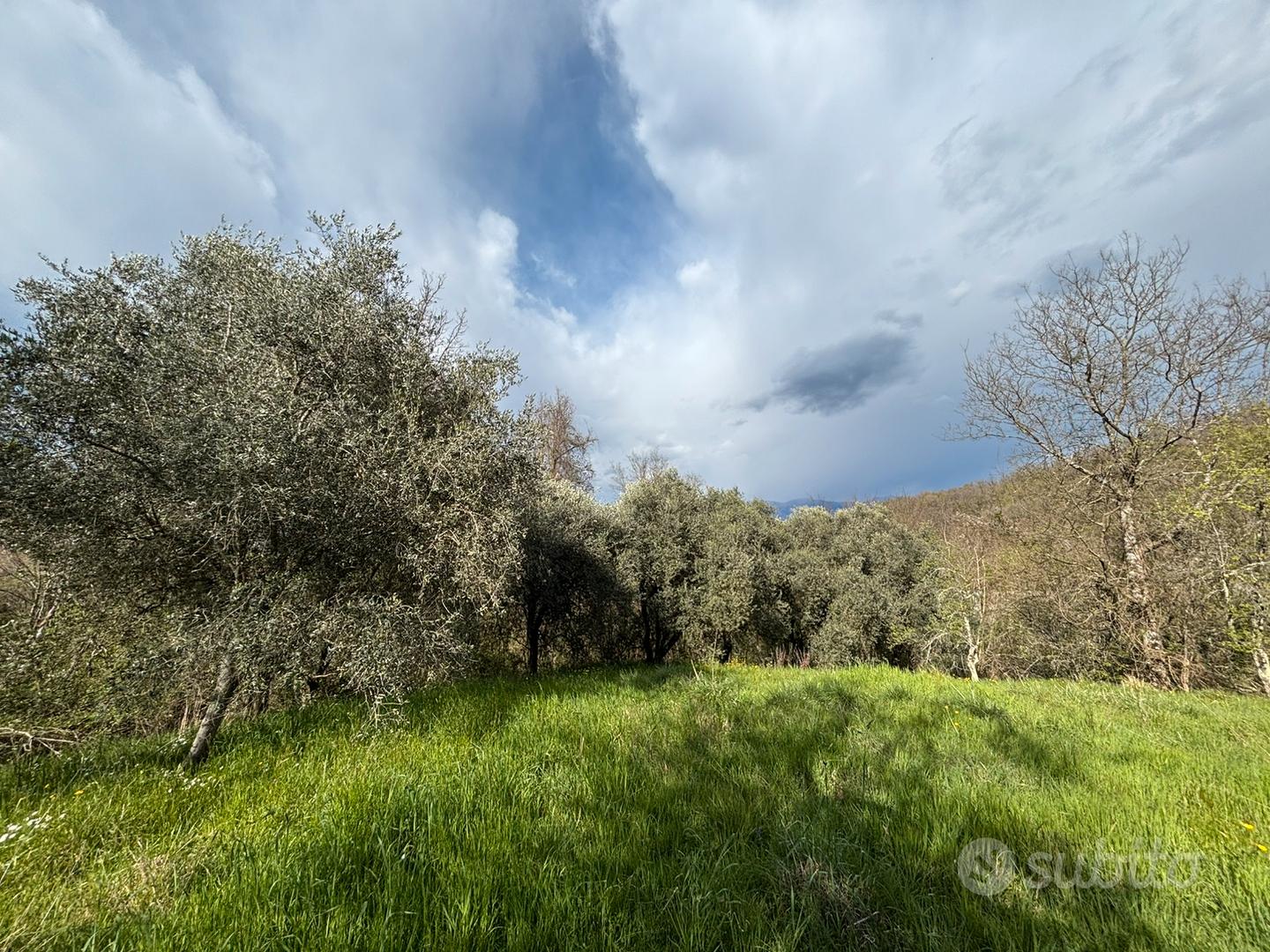 Terreno agricolo - Vista 5