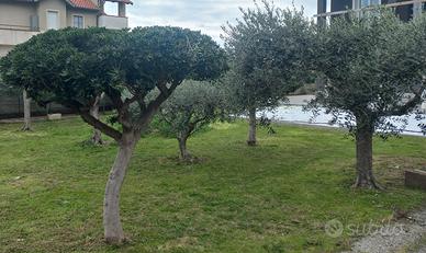 Privato vende villa fronte mare, prima fila