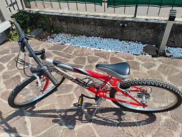 Bicicletta ragazzo/a