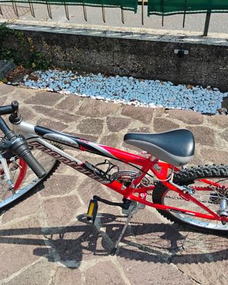 Bicicletta ragazzo/a