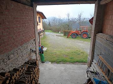 Rustico