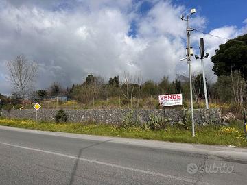 Terreno Agricolo Trecase [Cod. rif 3296947VCG]