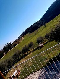 Casal dei Colli. Vacanze nel cuore dell Umbria