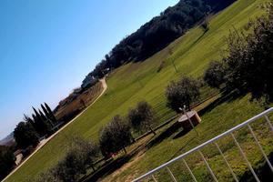 Casal dei Colli. Vacanze nel cuore dell Umbria