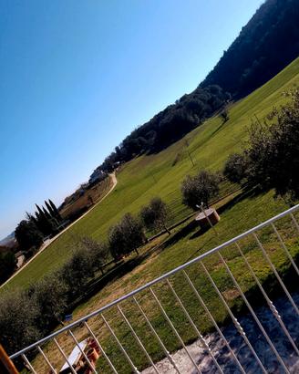 Casal dei Colli. Vacanze nel cuore dell Umbria