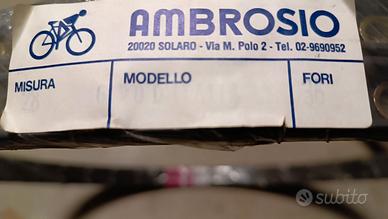 Coppia di cerchi per bici corsa Ambrosio