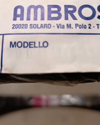 Coppia di cerchi per bici corsa Ambrosio