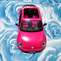 Auto  e Camper BARBIE