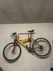 REGLAO bici Lombardo