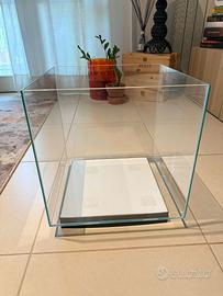 Acquario di acqua dolce NUOVO