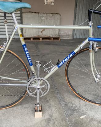 Atala Campione d’Italia e del Mondo 1982