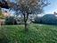 Immagine 15