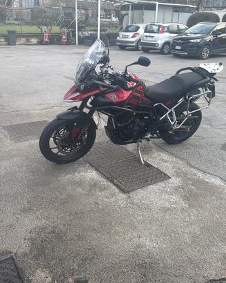 Triumph tiger 900 GT