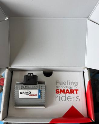 Centralina Rapid Bike Per BMW R 1250 GS
