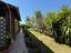 Immagine 7
