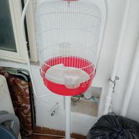 Gabbietta pappagalli