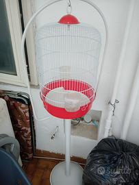 Gabbietta pappagalli